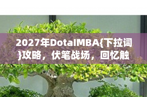 2027年DotaIMBA图片