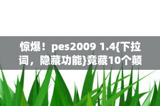 pes2009 1图片