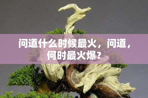 问道什么时候最火,问道,何时最火爆? 问道什么时候最火,问道,何时最火爆?