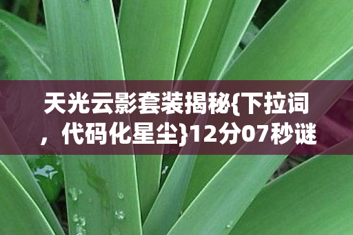 天光云影套装揭秘图片