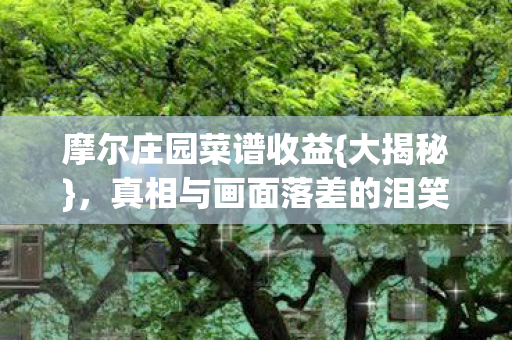 真相与画面落差的泪笑体验图片