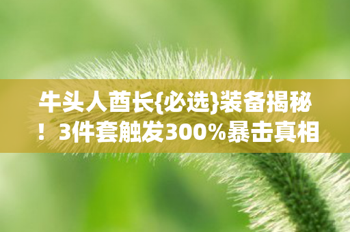 牛头人酋长{必选}装备揭秘!3件套触发300%暴击真相 牛头人酋长{必选}装备揭秘!3件套触发300%暴击真相