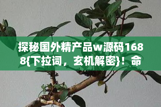 探秘国外精产品w源码1688{下拉词，玄机解密}！命运齿轮转动之谜