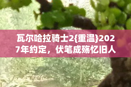 瓦尔哈拉骑士2图片