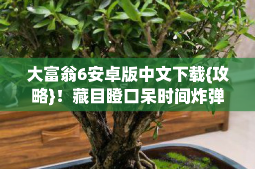藏目瞪口呆时间炸弹冷知识图片