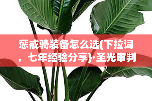 惩戒骑装备怎么选图片