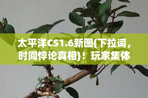 玩家集体惊呼绷不住图片