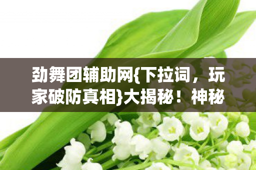 劲舞团辅助网图片