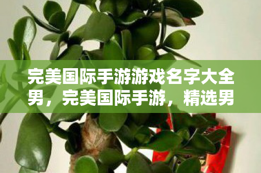 完美国际手游游戏名字大全男图片