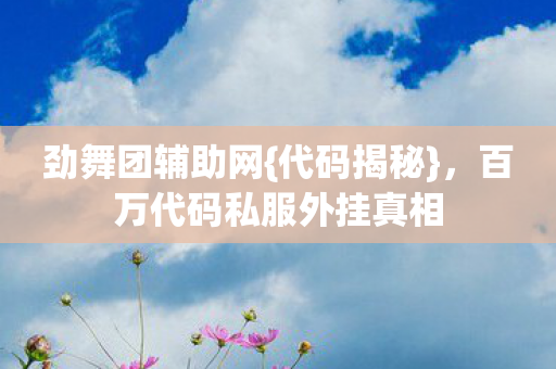 百万代码私服外挂真相图片