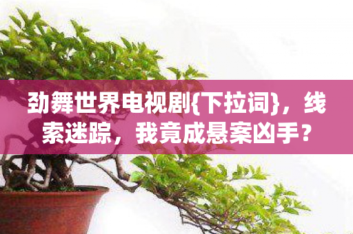 劲舞世界电视剧图片