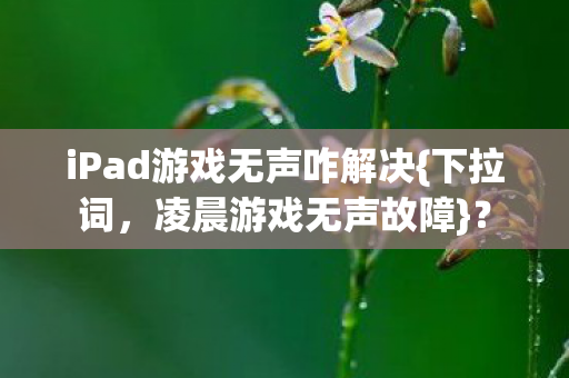 iPad游戏无声咋解决图片