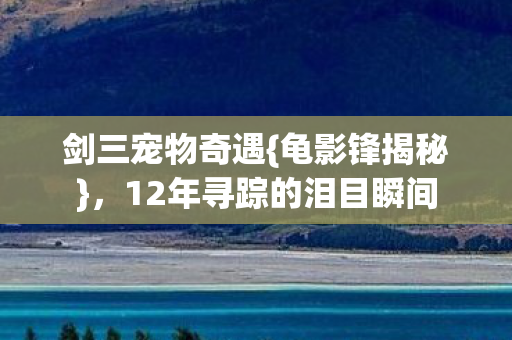 12年寻踪的泪目瞬间图片