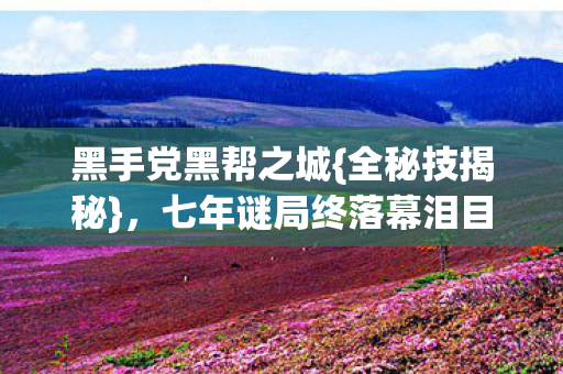 七年谜局终落幕泪目图片