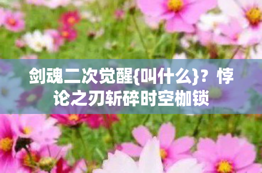 悖论之刃斩碎时空枷锁图片