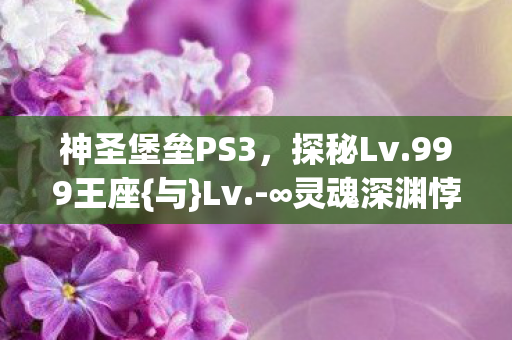 神圣堡垒PS3图片