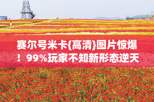 玩家不知新形态逆天秘密图片
