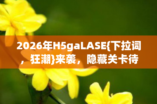 2026年H5gaLASE图片