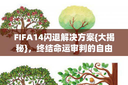FIFA14闪退解决方案图片