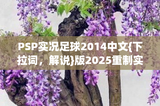 PSP实况足球2014中文图片