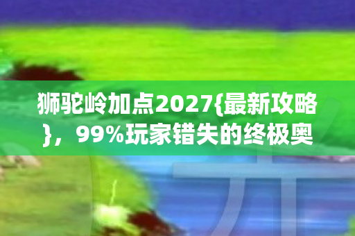 狮驼岭加点2027图片