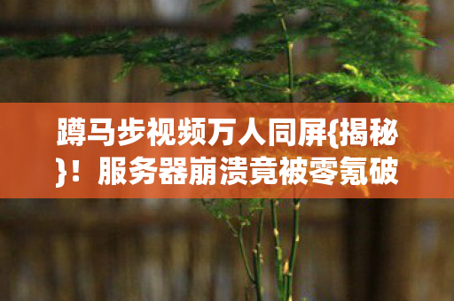 服务器崩溃竟被零氪破防图片
