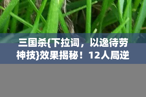 12人局逆天操作看呆老玩家图片