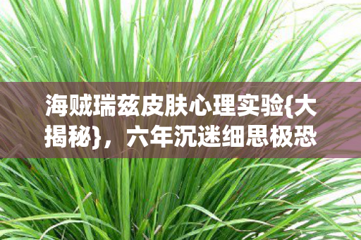 海贼瑞兹皮肤心理实验图片