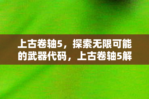 上古卷轴5解锁无限武器代码图片
