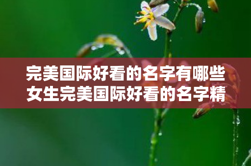 完美国际好看的名字有哪些女生完美国际好看的名字精选图片