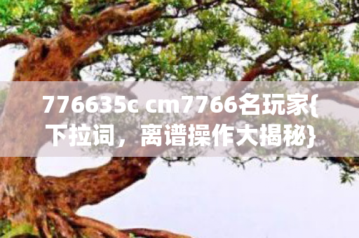 776635c cm7766名玩家图片
