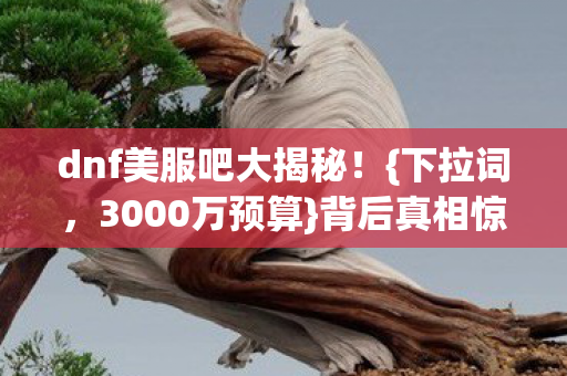 dnf美服吧大揭秘图片