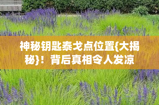 神秘钥匙泰戈点位置图片