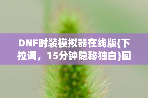 DNF时装模拟器在线版图片