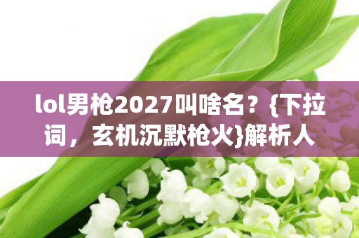 lol男枪2027叫啥名图片