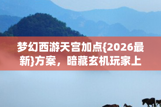 梦幻西游天宫加点图片