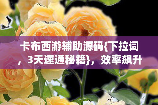 卡布西游辅助源码图片