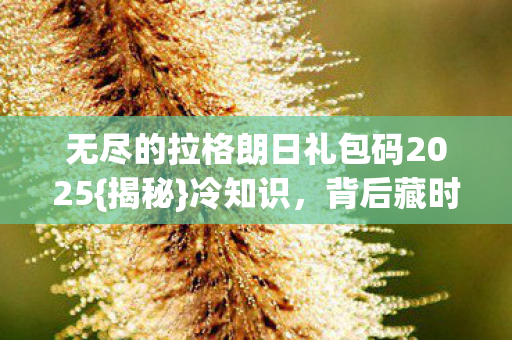 无尽的拉格朗日礼包码2025图片