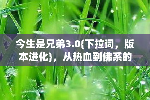 从热血到佛系的蜕变图片