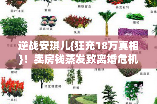 卖房钱蒸发致离婚危机图片
