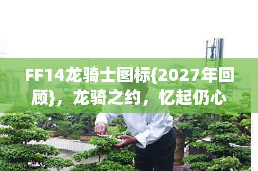 FF14龙骑士图标图片