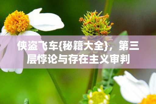 第三层悖论与存在主义审判图片
