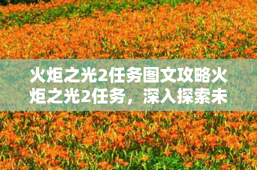 火炬之光2任务图文攻略火炬之光2任务，深入探索未知领域，火炬之光2任务攻略，深入探索未知领域