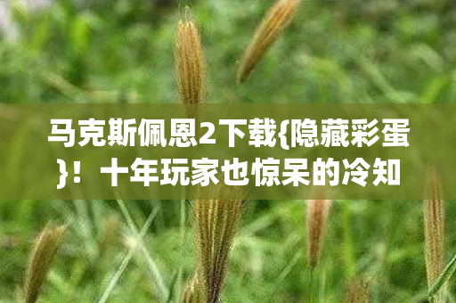 十年玩家也惊呆的冷知识图片