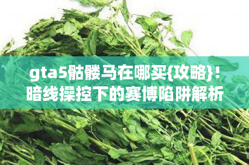暗线操控下的赛博陷阱解析图片