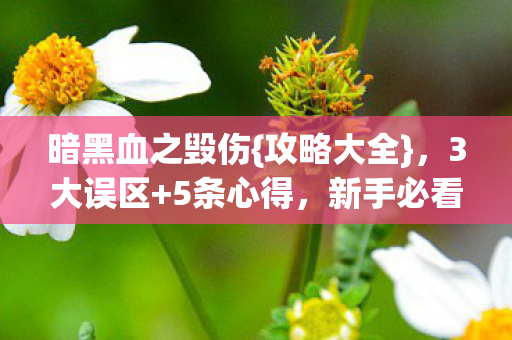 暗黑血之毁伤{攻略大全},3大误区+5条心得,新手必看! 暗黑血之毁伤{攻略大全},3大误区+5条心得,新手必看!