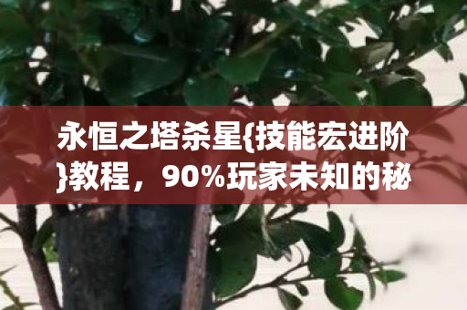 玩家未知的秘技图片