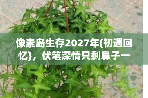 像素岛生存2027年图片
