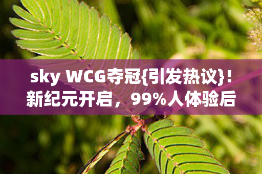 sky WCG夺冠图片