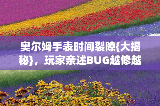 玩家亲述BUG越修越糟图片